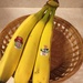 Yellow bananas by kchuk