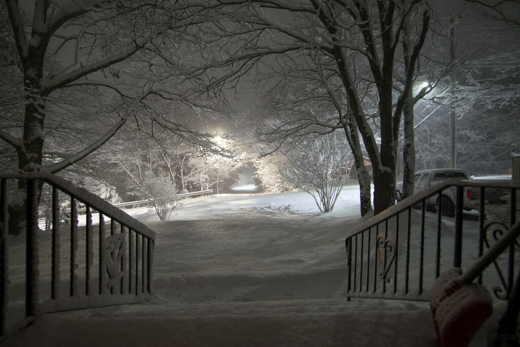 Night snow by novab