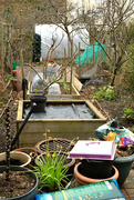 5th Mar 2023 - My sister's kitchen garden in the heart of London...