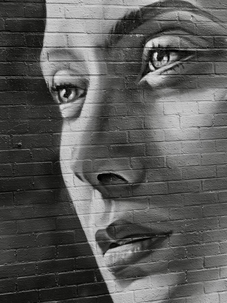 Portrait on Brick by delboy207