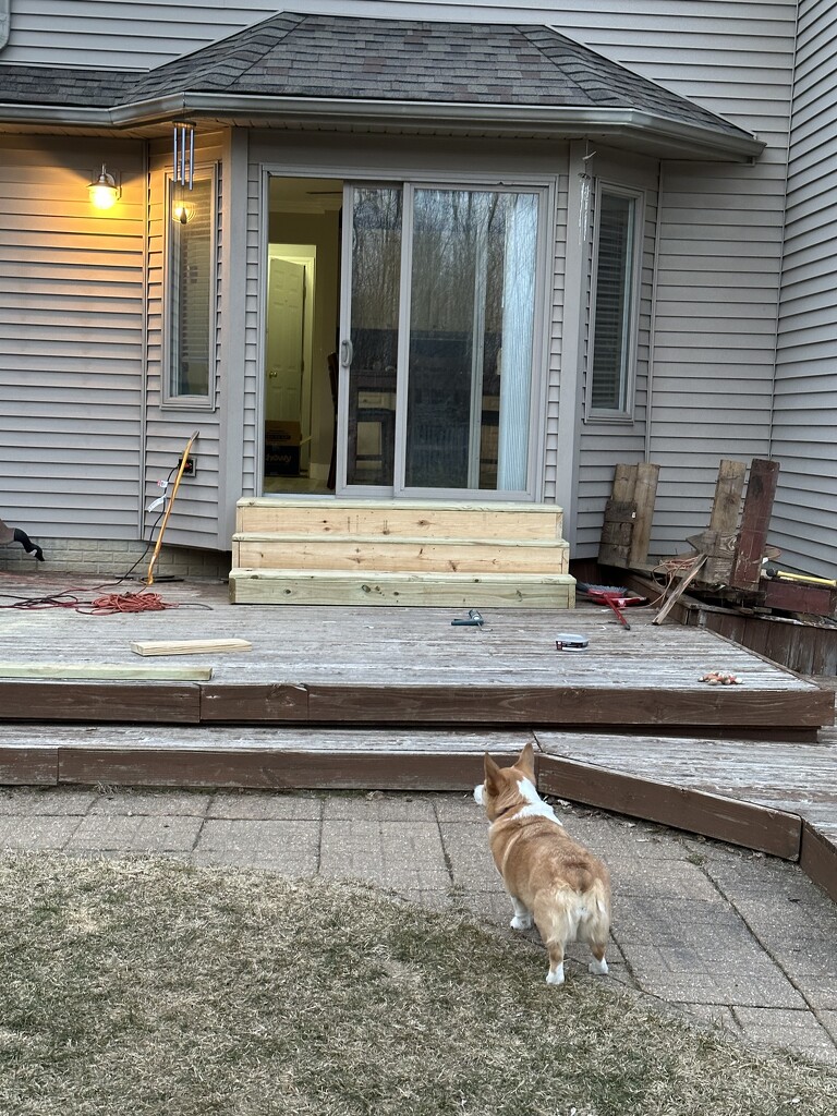 New deck stairs by mommadukes