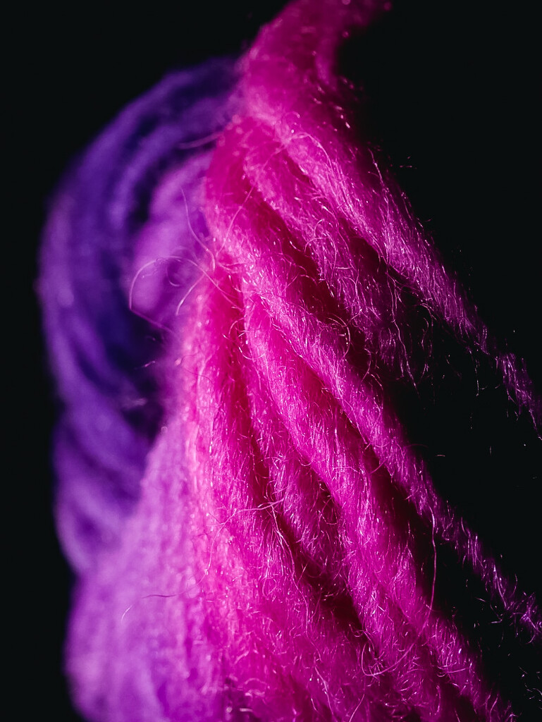 Pink wool by catangus