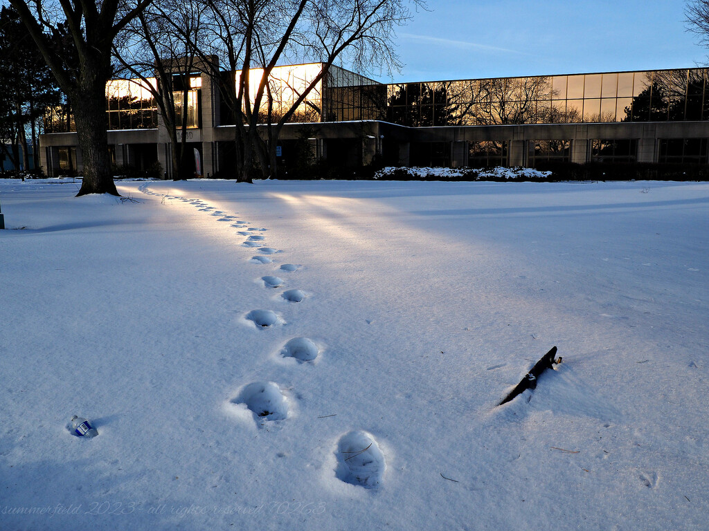 boot prints in the snow by summerfield