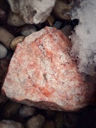 5th Mar 2023 - pink rock
