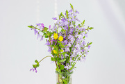5th Mar 2023 - Wild Flower arrangement...