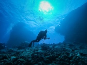 6th Mar 2023 - Exploring the deep