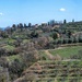 View from Podere La Marronaia by taffy