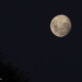 New Moon by yorkshirekiwi