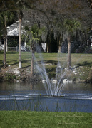 31st Jan 2023 - Water Fountain