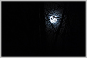 6th Mar 2023 - Worm Moon setting