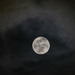Tonight's moon