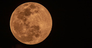 6th Mar 2023 - Tonight's Almost Full Moon!