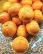 7th Mar 2023 - Lots of oranges - Rainbow 7