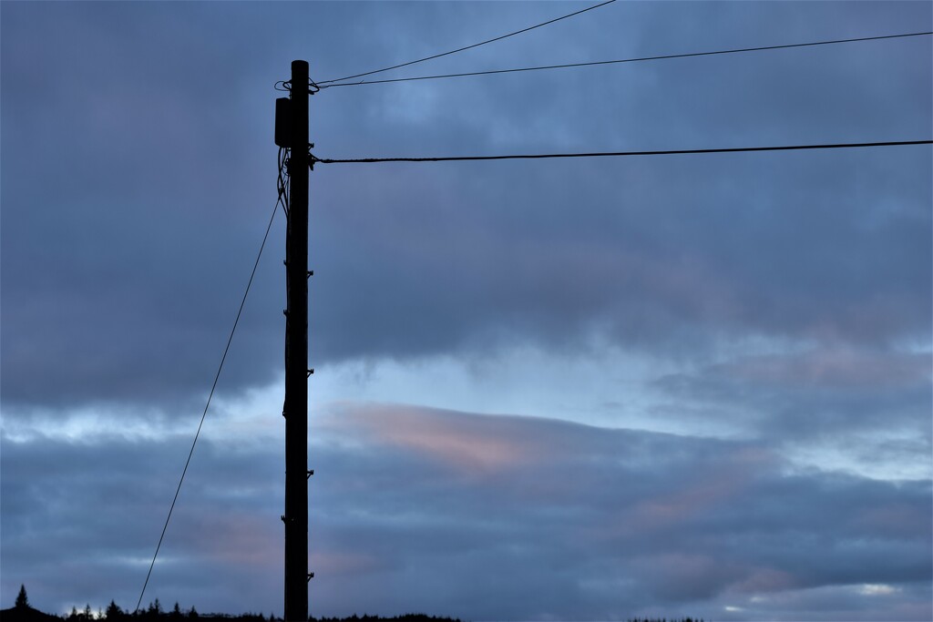 telegraph pole by christophercox