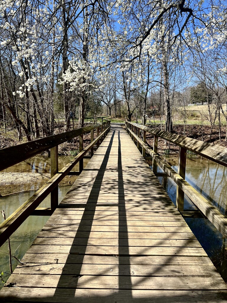 Crossing the bridge to Spring.  by calm