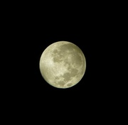 7th Mar 2023 - (almost) full moon