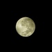 (almost) full moon by evassm