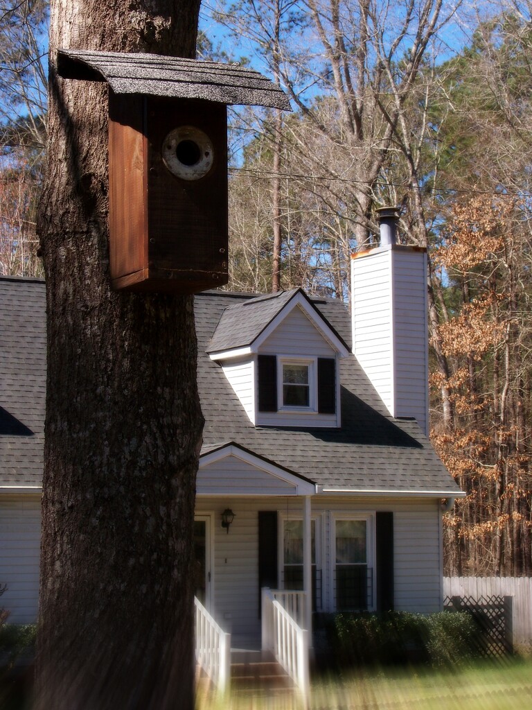 Squirrel proof bluebird houses... by marlboromaam