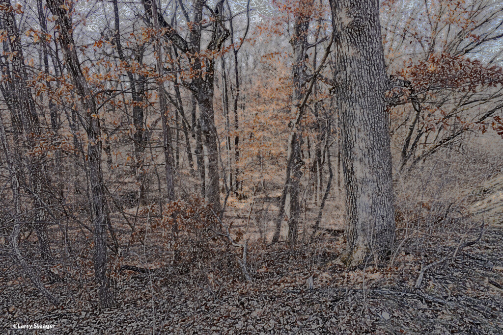Winter woods artistic by larrysphotos