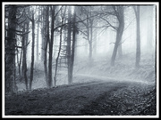 7th Mar 2023 - Trail with mist