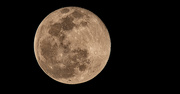 7th Mar 2023 - One More Moon Shot!