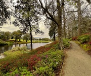8th Mar 2023 - A serene path along the pond at Middleton Place