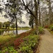 A serene path along the pond at Middleton Place by congaree