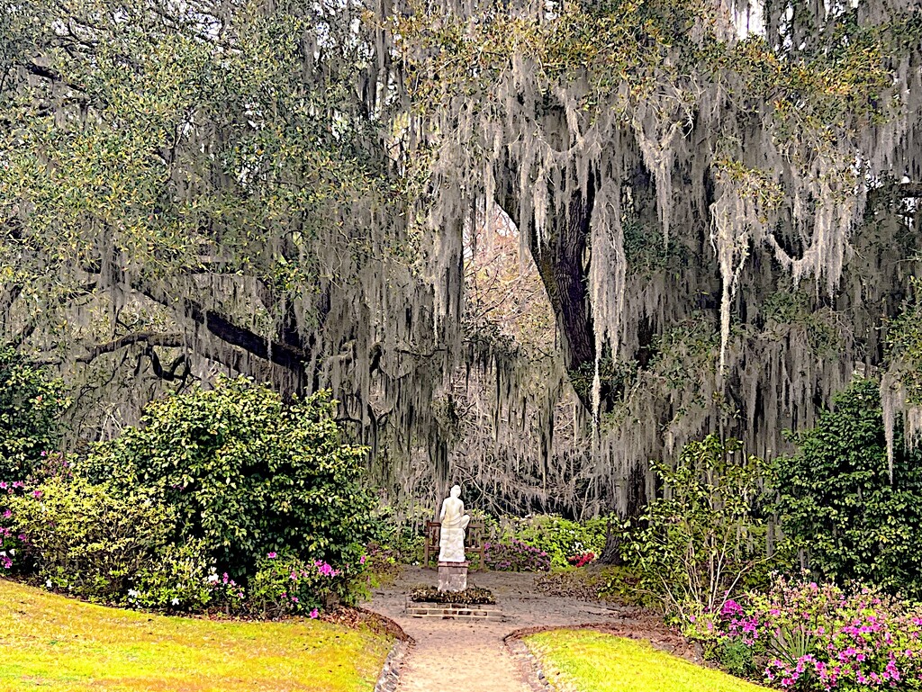 Middleton Place Gardens, Charleston  by congaree