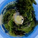 Tiny Planet by maggiemae