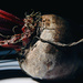 Day 66: Beet by sheilalorson