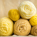 Yellow Yarn by kuva