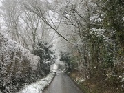 8th Mar 2023 - Snowy Lane