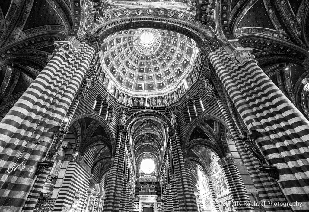 Arches Everywhere in the Siena Cathedral by taffy