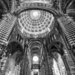 Arches Everywhere in the Siena Cathedral by taffy