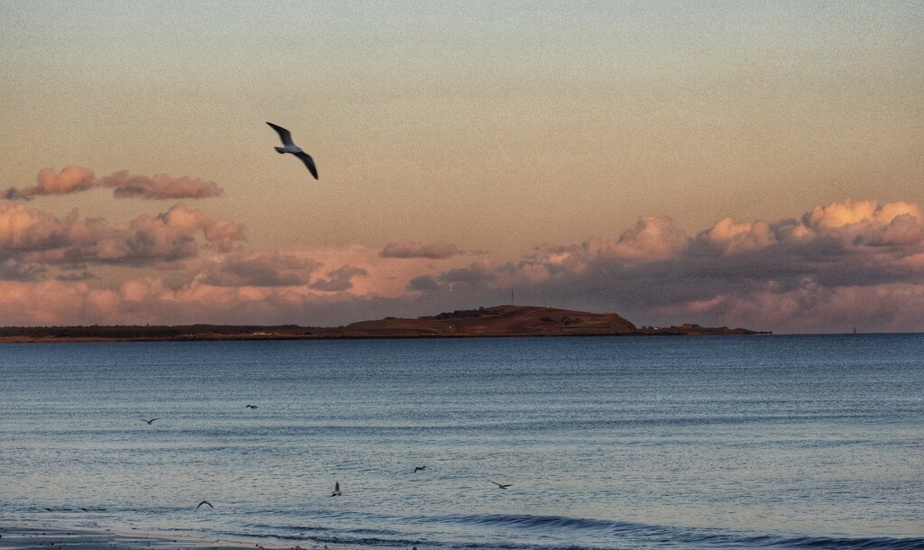 Shell Bay on the Fife Coast. by billdavidson