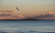 8th Mar 2023 - Shell Bay on the Fife Coast.