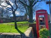 8th Mar 2023 - Flowers in a telephone box.