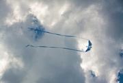 7th Mar 2023 - Flying a kite...