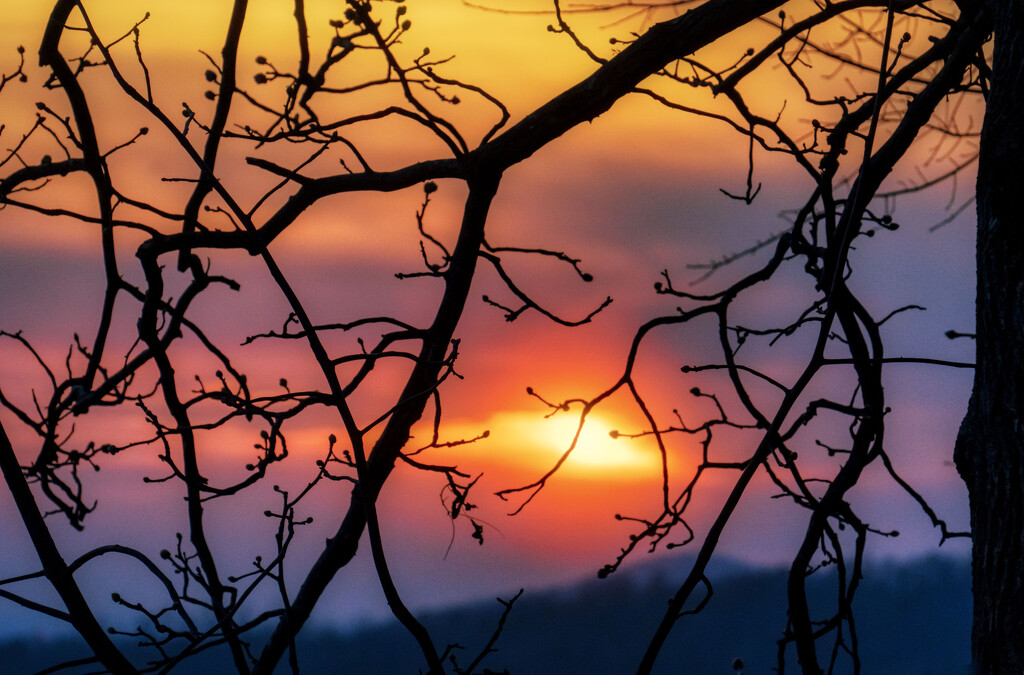 Fiery Sunset by kvphoto