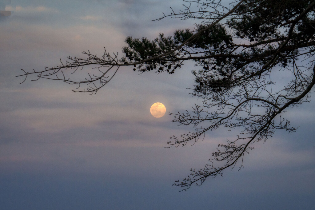 Framing the Moonrise by kvphoto