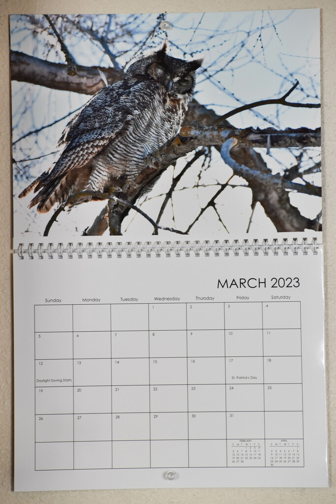 Calendar Of My Own Favorite Photos by bjywamer