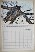 8th Mar 2023 - Calendar Of My Own Favorite Photos