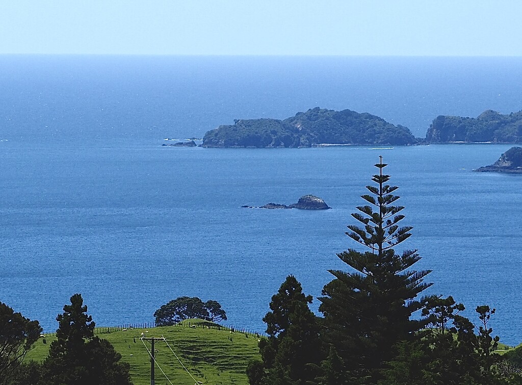 Looking out to islands Bay of Islands by Dawn