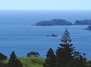 9th Mar 2023 - Looking out to islands Bay of Islands