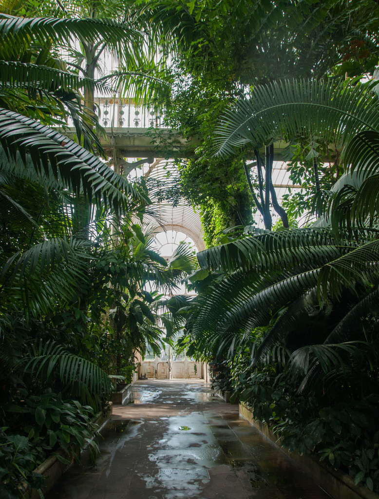 Temperate House  by brigette