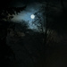 ~Moonlight~ by crowfan