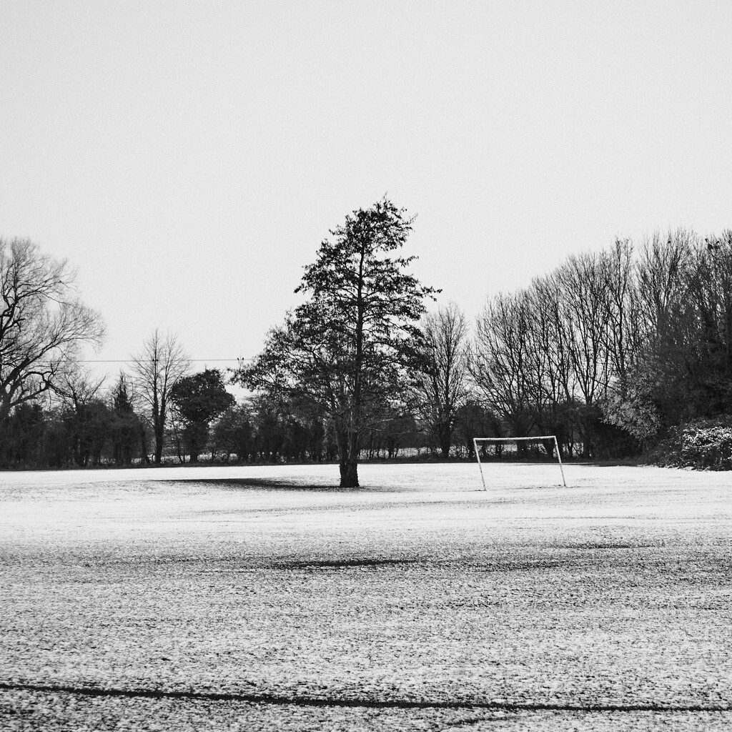 Snow in the Park by onebyone