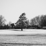 9th Mar 2023 - Snow in the Park