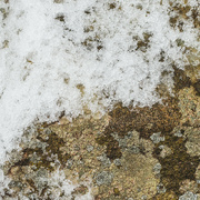 9th Mar 2023 - Snow, Stone, Lichen