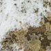 Snow, Stone, Lichen by jlmather